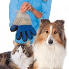 Handske med silikonebørster til hund / kat | Pet Grooming Glove True Touch